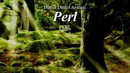 Davide Detlef Arienti - Perl - Perl (Epic Intense Orchestral Beautiful Choir Emotional 2015)