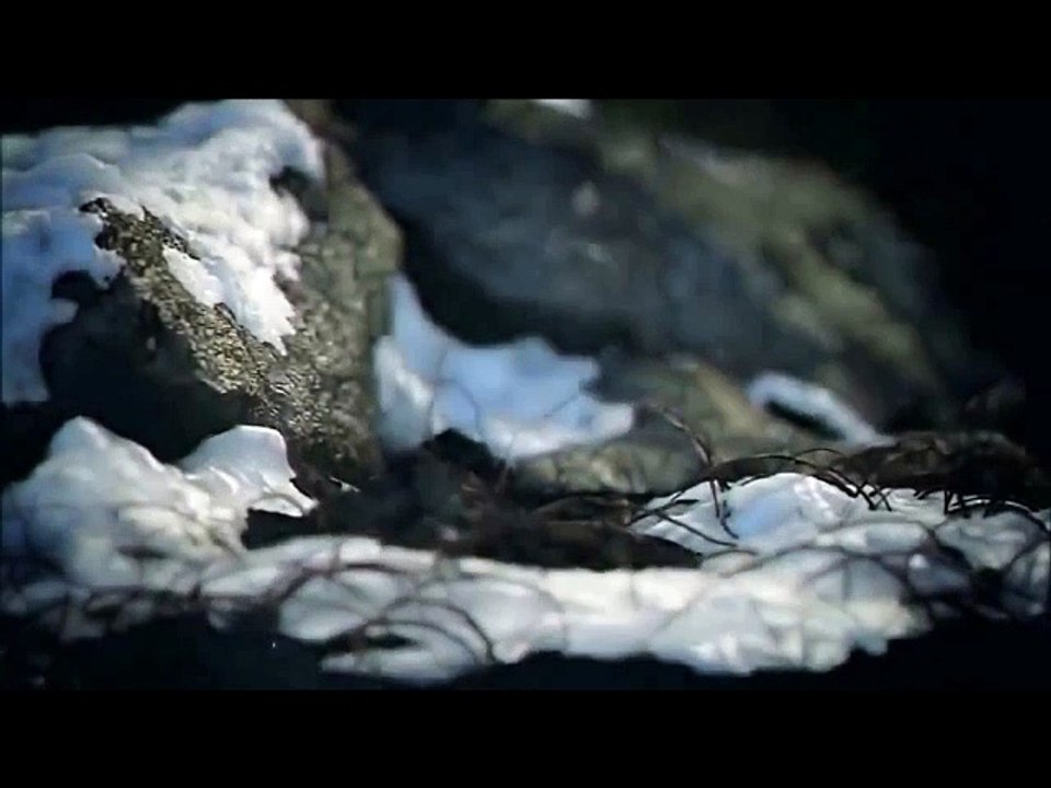 Beegees - First of May