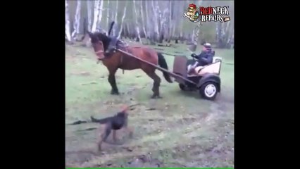 Faire des dérapages avec un cheval... Dingue