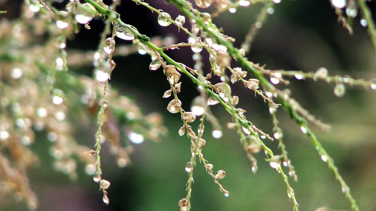 Save You by The Mary Dream (Lyrics Video) from Finding Carter