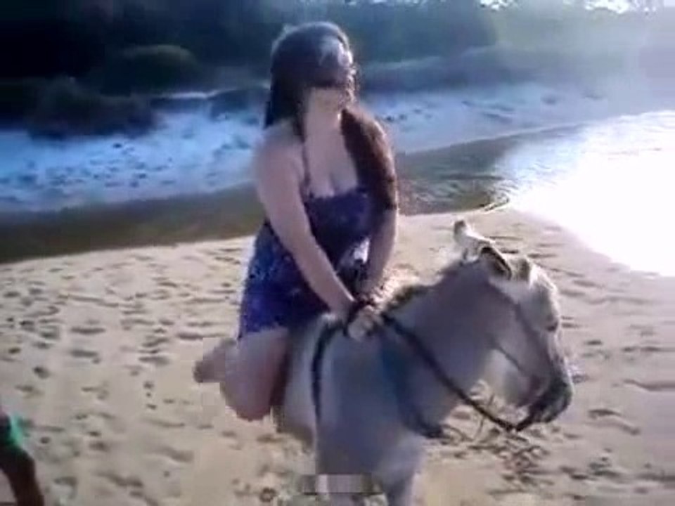 Donkey Rider