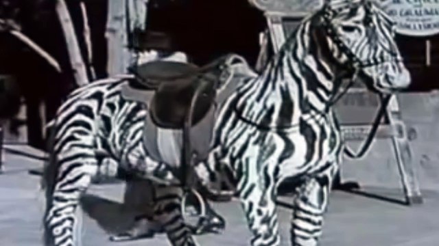 Видео потрясло весь мир ! кто они