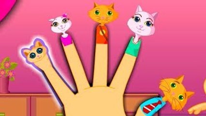 The Finger Family Cat Family Nursery Rhyme | Kids Animation Rhymes Songs
