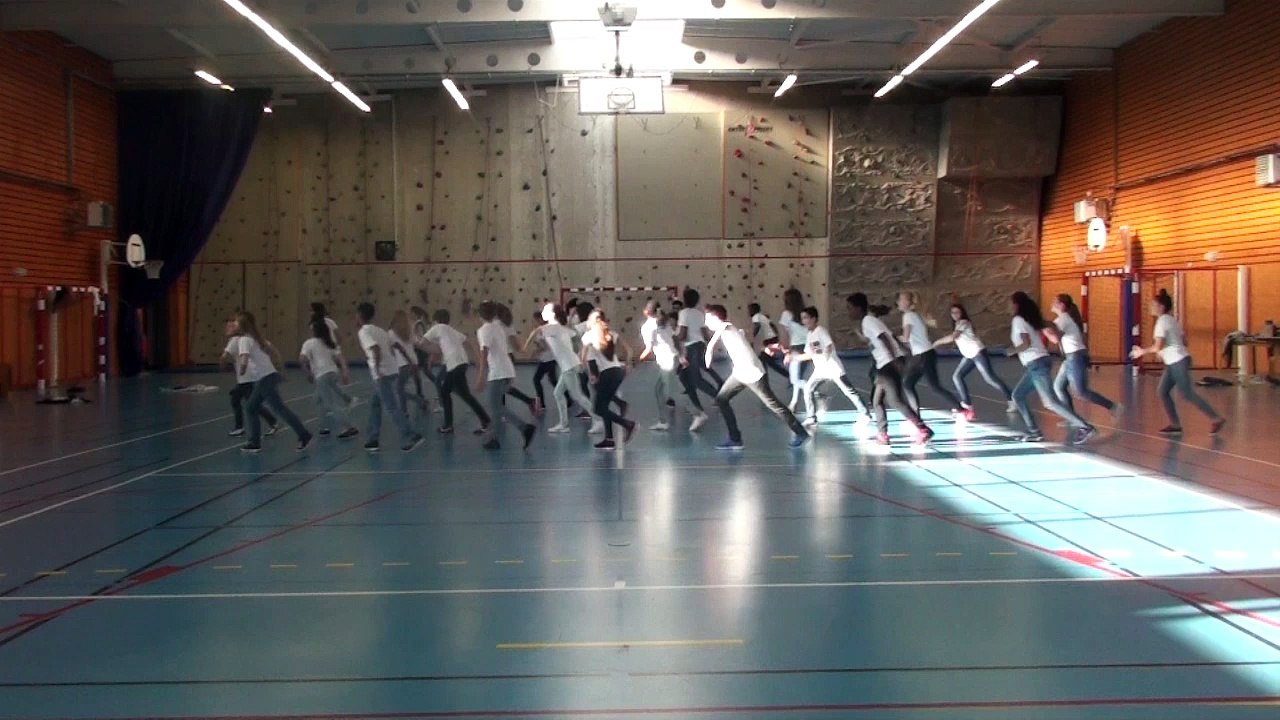 Flashmob La Moncient 2016