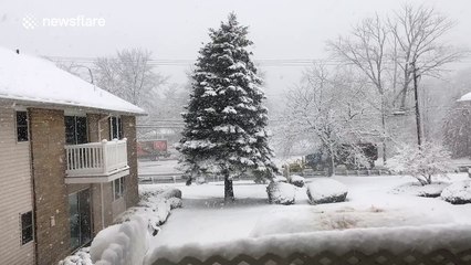 Time-lapse of a snowstorm in New Jersey, USA
