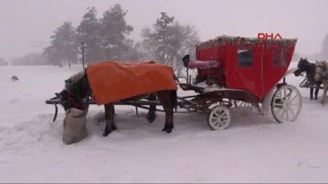 Bolu Abant Yolunda Tatilcilere Kar Engeli