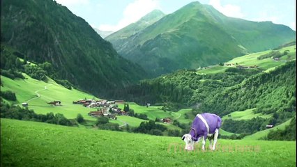 Реклама Milka - Милка Магазин игрушек