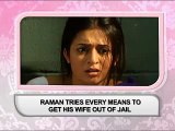 RAMAN TRIES EVERY MEANS TO GET HIS WIFE OUT OF JAIL - 6th February 2016 - Yeh Hai Mohabbatain