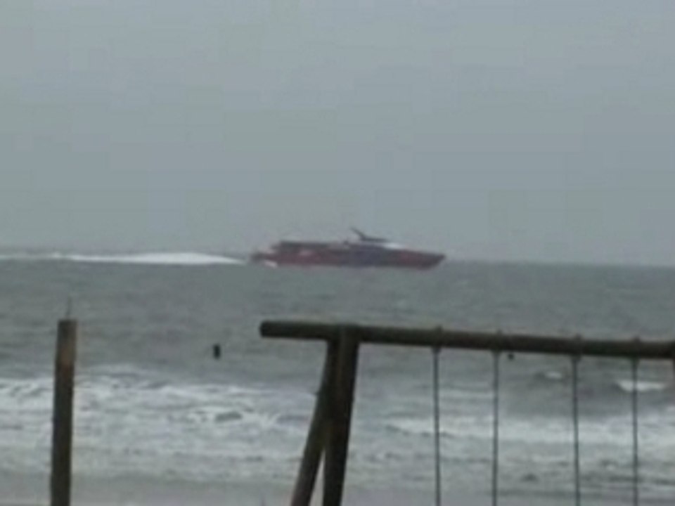 Ollis drache und cat.no1