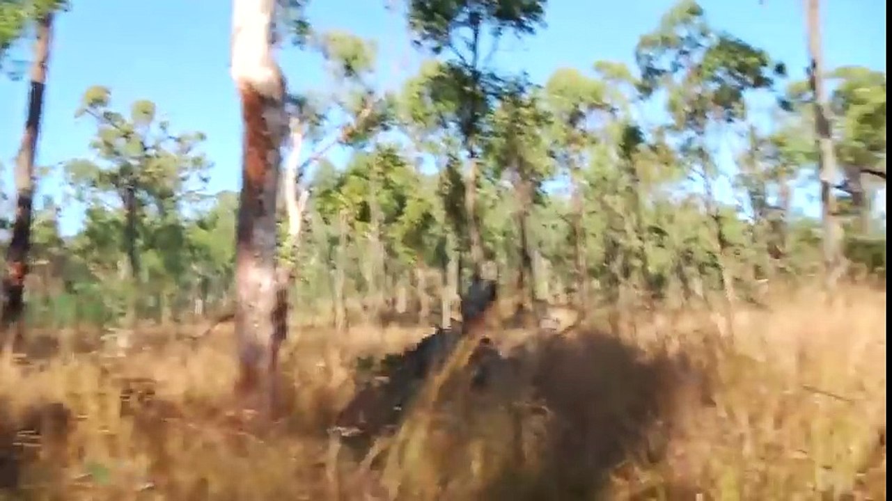 US Army Show Force in Beautiful Landscape - US Soldiers in Action During Large Training Exercise