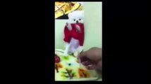 funny videos,funny animals, funny dogs videos,funny puppies ,lol, funny clips, comedy movies, funny 