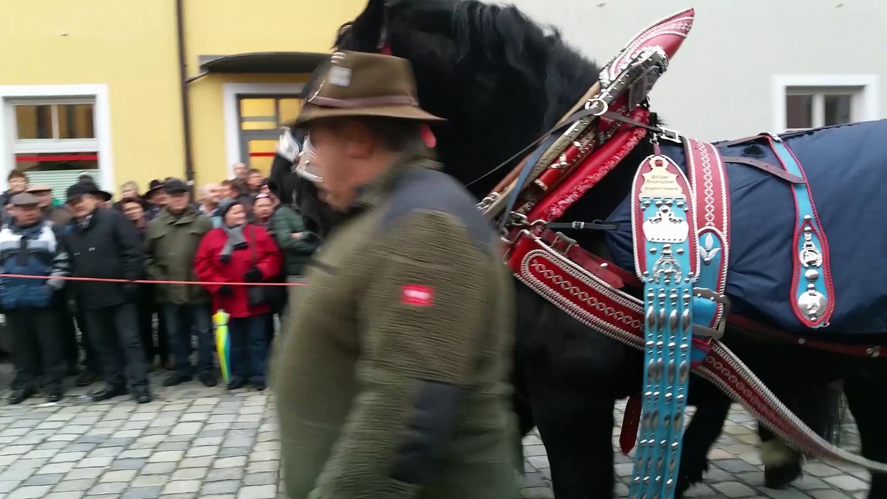Rossmarkt in Berching 2016