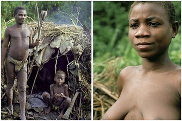 Племя пираха