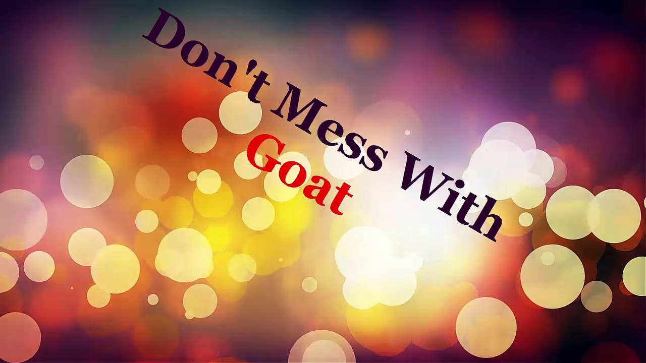 Goat hitting people and dog faking an injury, funny videos ,lol, funny clips, comedy movies