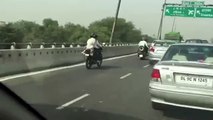 À cheval sur une moto, ce labrador fait sensation dans les rues de Delhi.