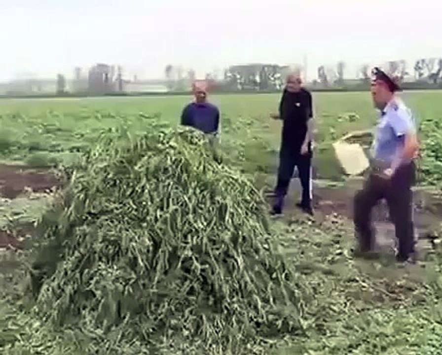 Бог наказал мента за поджег АНАШИ