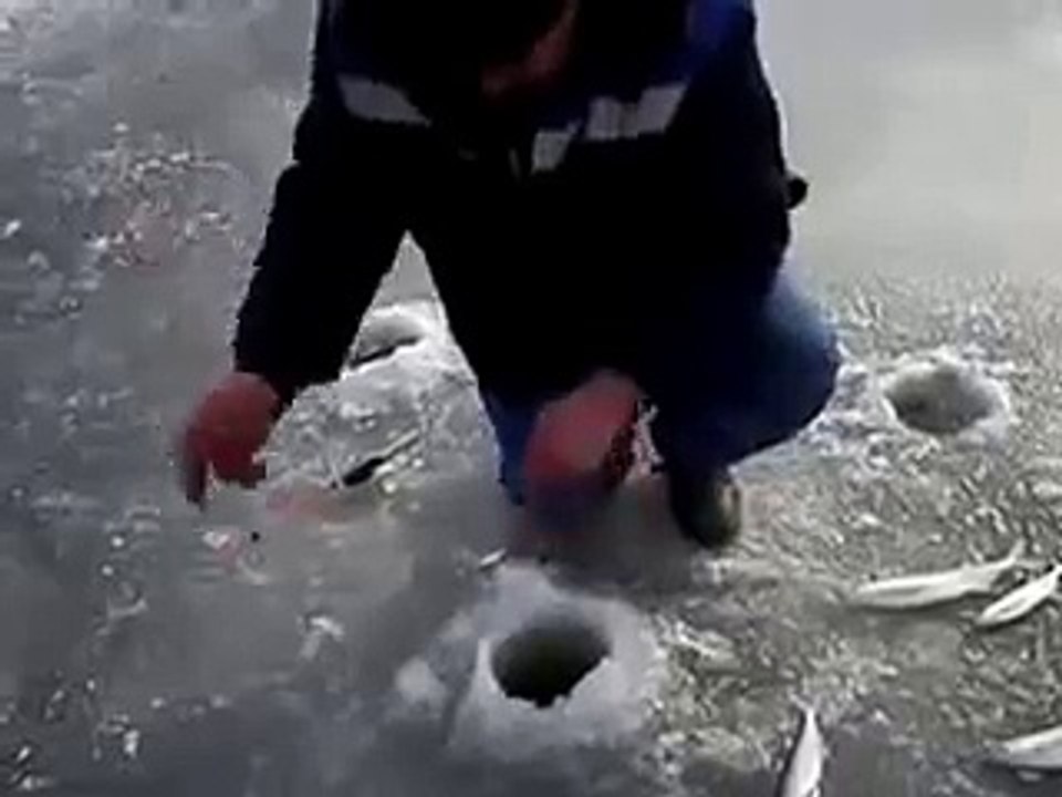 Лучше две