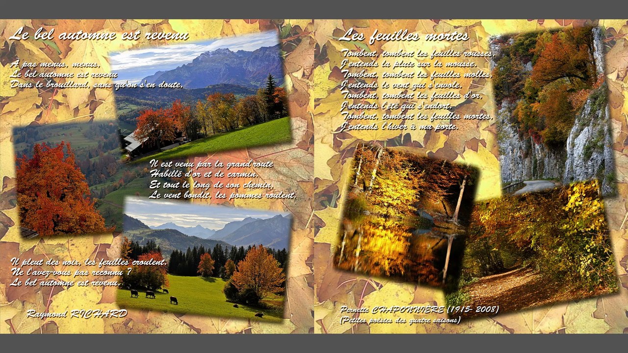 Album artistique 2011
