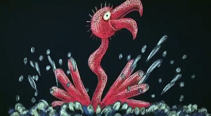 Good Night Flamingo : Fun Kids Video