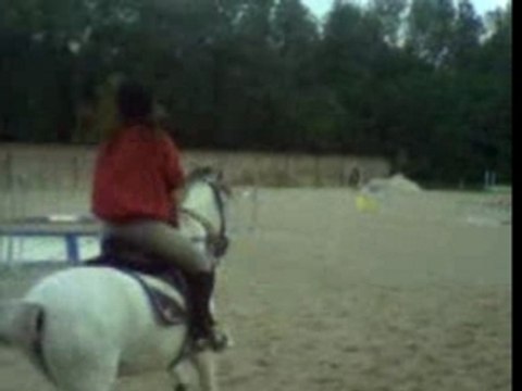 galop : Doucement mais surement !