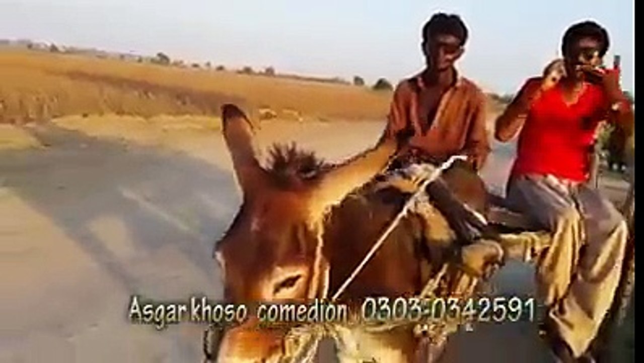 Moiz Ahmed