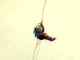 На велике по проводам