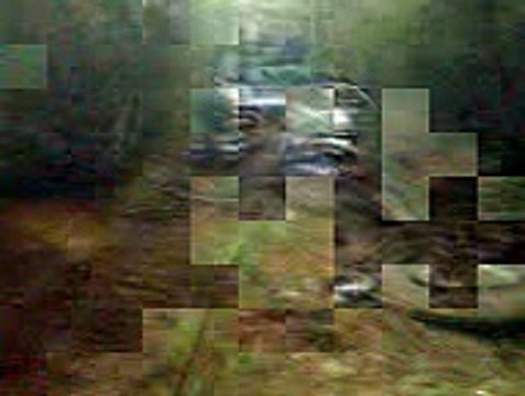 Вовик домой едет