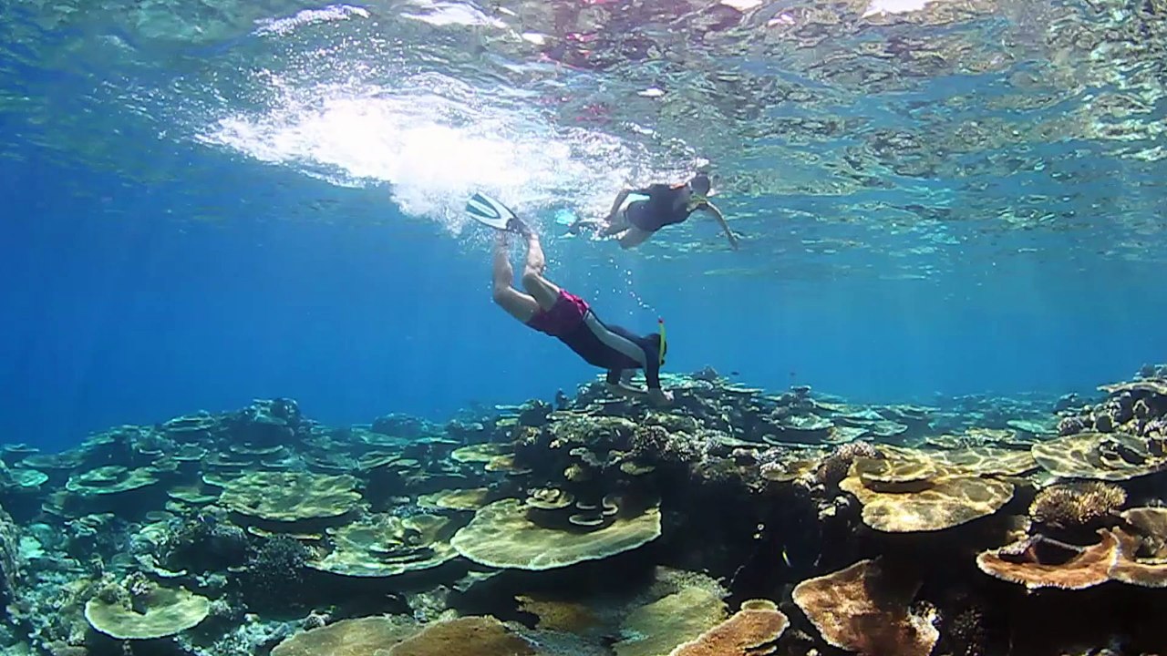 Silver Sands Promo 2016