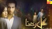 Gul E Rana Episode 15 Promo HUM TV Drama 06 Feb 2016