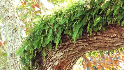 Coral Gables on Assignment with Jeffrey Moss - Pottery Barn
