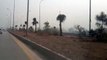 Billion Tree Tsunami- Plantation along Motorway in Peshawar