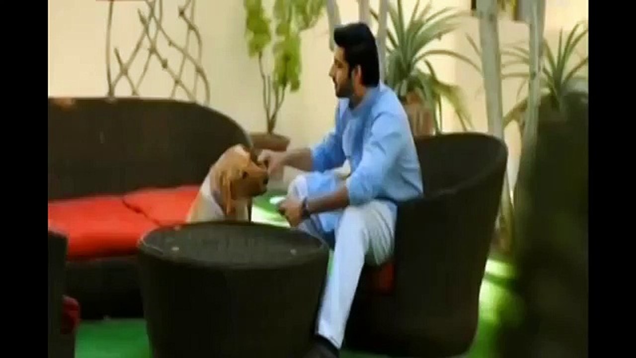 Shairee-New-ARY-Drama-2016-Promo