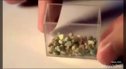 Eshban Aquarium Smallest Aquarium With Fish