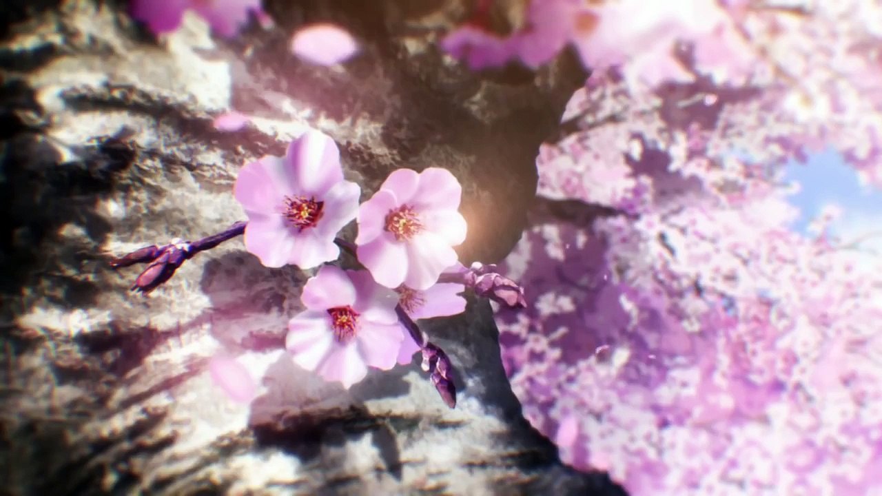 Sakurako-san No Ashimoto Ni Wa Shitai Ga Umatteiru PV