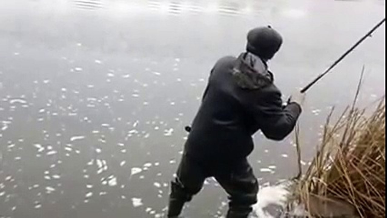 Огромная рыба