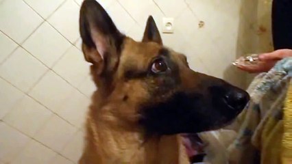 ОСКАЛ И УЛЫБКА !Ржач!