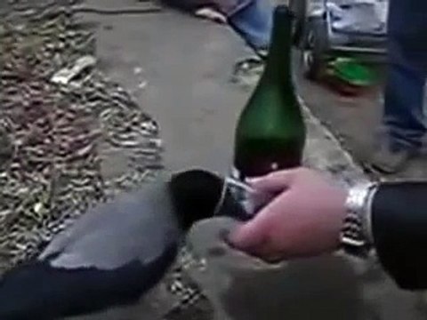 Очень хотела выпить!прикол!