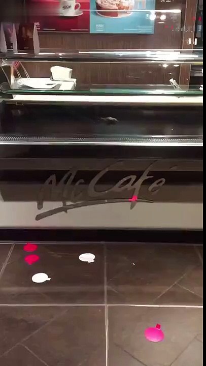 Rodent invasion at a Paris McDonalds