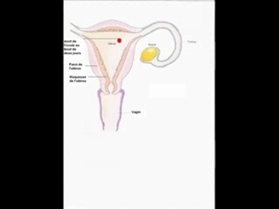 comment maitriser la reproduction