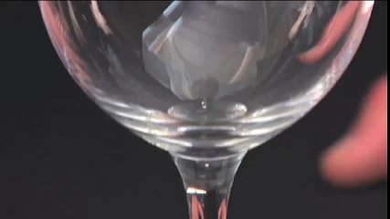 Schott Zwiesel White Wine Glasses by Pottery Barn