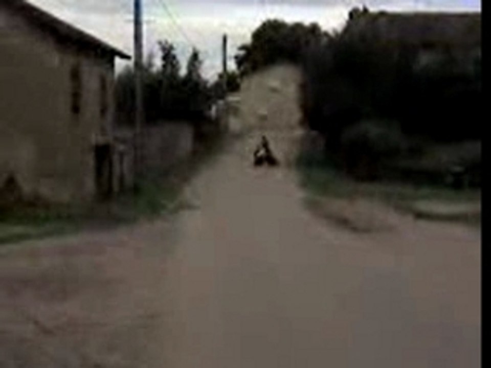 Un pot leoni de Vivacity sur un Ludix ac farias