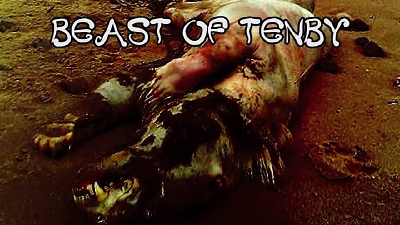 10 Most Mysterious Unidentified Creatures Found