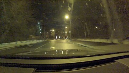 Бигфут на дороге. Видео с регистратора