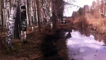 Газель-бигфут