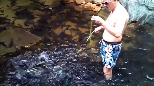 Вот это РЫБАЛОЧКА! повезло так повезло!