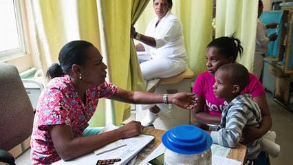 The Zika Virus What You Need to Know