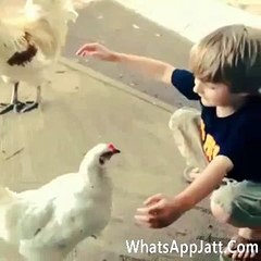 Real Love Between Boy And Hen (aashiqui 3)