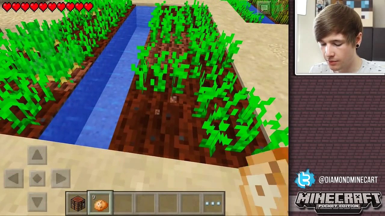MINECRAFT POCKET EDITION   0.9.0