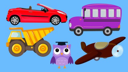 Apprendre les couleurs et les vehicules avec OLI la chouette