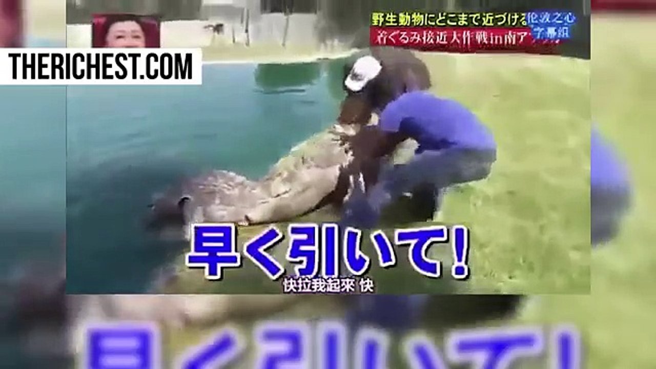funny video
